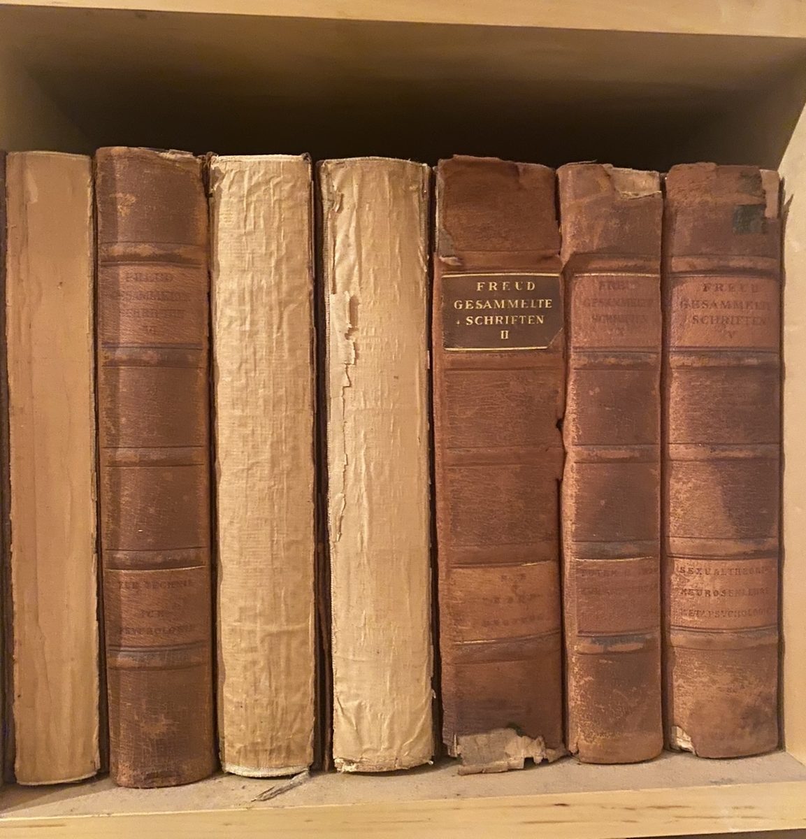 Antique leather-bound volumes of Freud's Gesammelte Schriften on a bookshelf